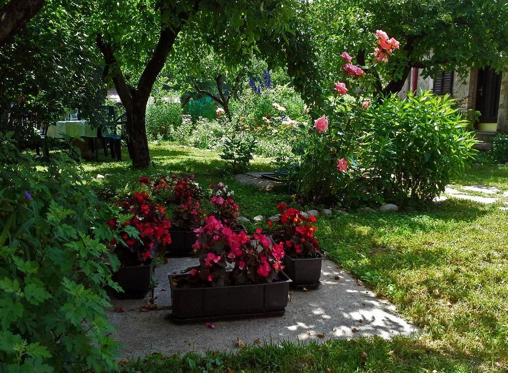 La Vecchia Casa Hotel Cetinje Eksteriør billede