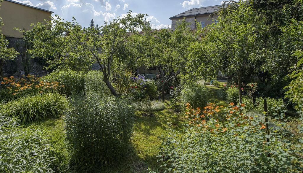 La Vecchia Casa Hotel Cetinje Eksteriør billede